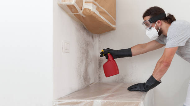 Professional Commercial Mold Remediation technician working in Marblehead, MA