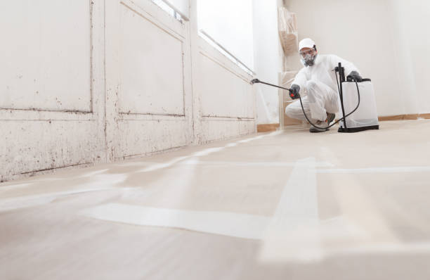24/7 Emergency Commercial Mold Remediation experts in Marblehead, MA